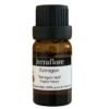 JERRAFLORE HUILE ESSENTIELLE ESTRAGON TARRAGON LEAF 10 ML