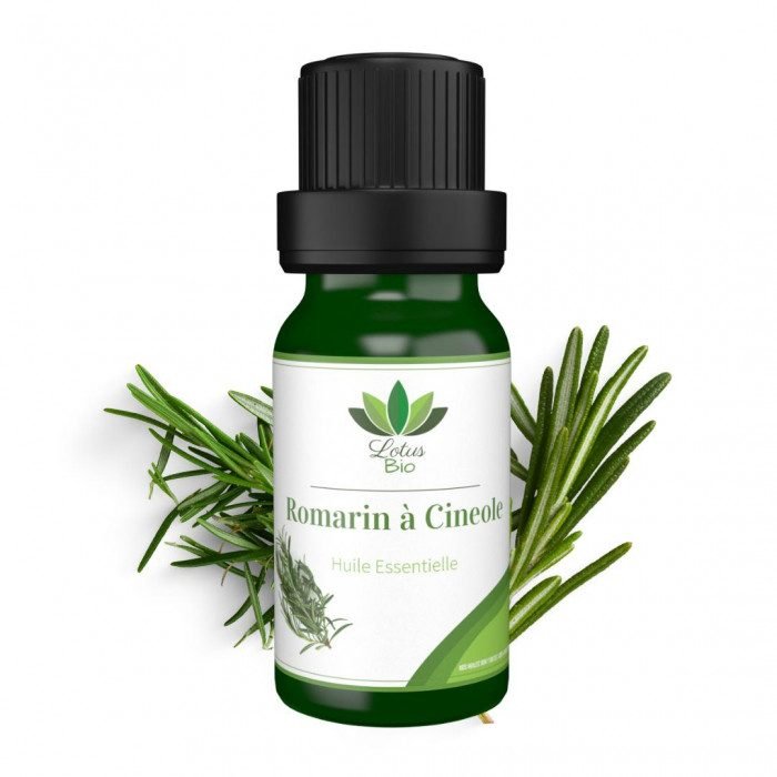 LOTUS BIO HUILE ESSENTIELLE DE ROMARIN A CINEOLE 10 ML