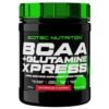SCITEC NUTRITION BCAA+ GLUTAMINE XPRESS WATERMELON FLAVORED 300 G